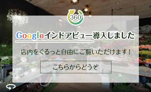 Googleインドアビュー導入しました