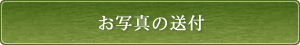 ʐ^̑t