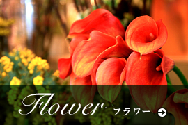 Flower - t[